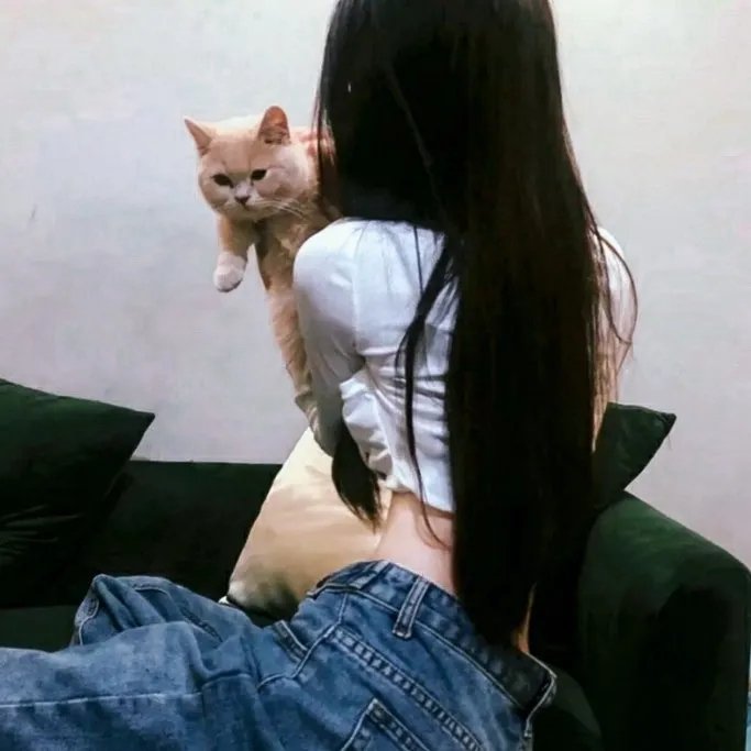 斗牛犬续集